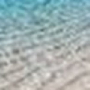 Meet your Posher, Phil